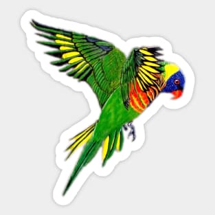 Rainbow Lorikeet Sticker